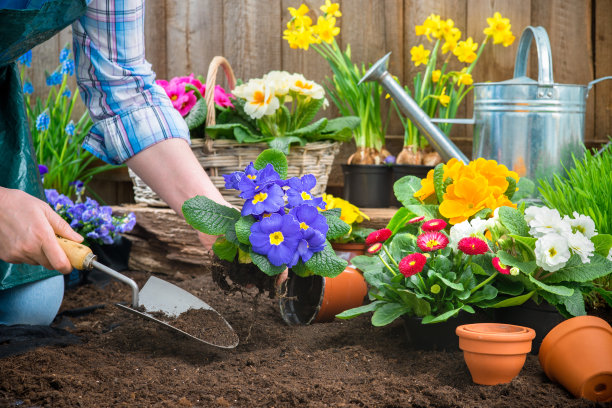 horticulture