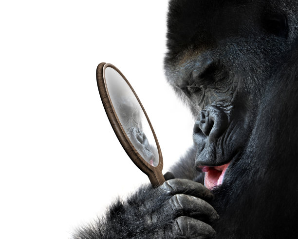 ape