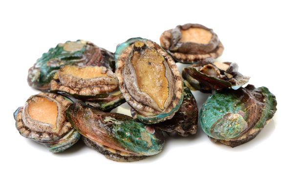 abalone