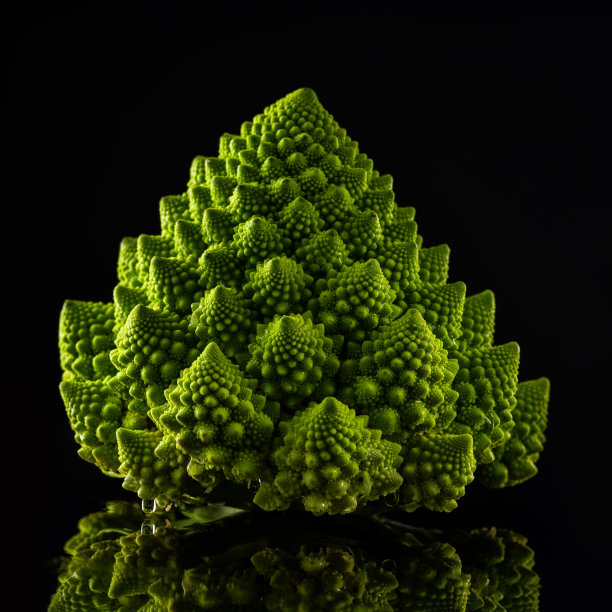 fractal