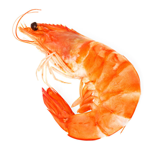 shrimps