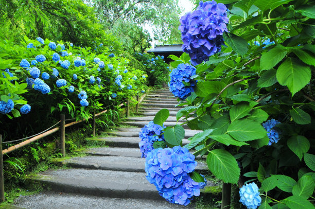 june