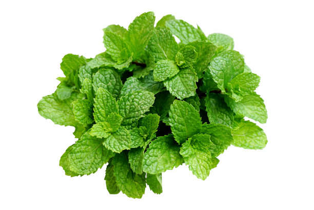 mint
