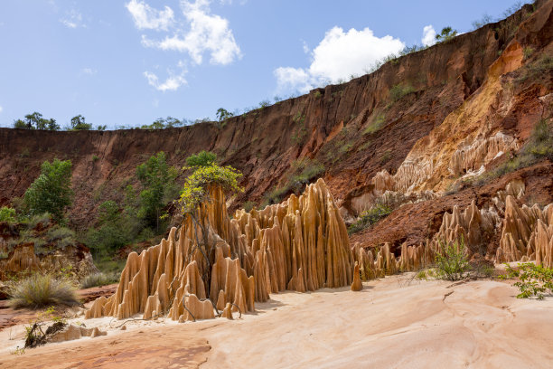 马达加斯加奇石