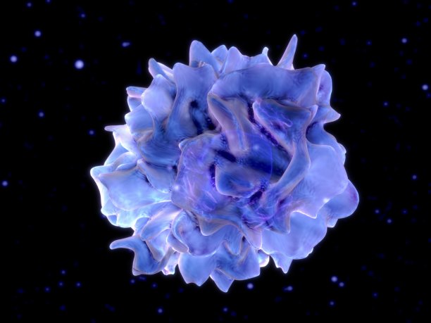 cd4