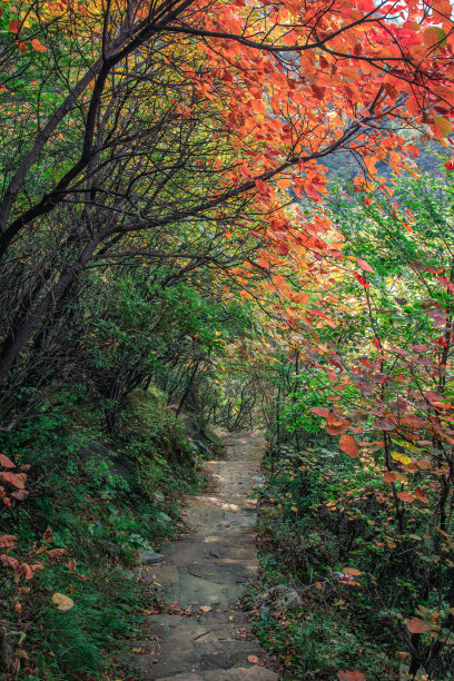 秋天的太行山