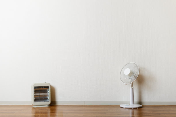 fan