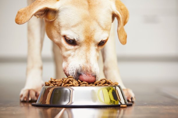 eat