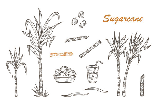 sugar