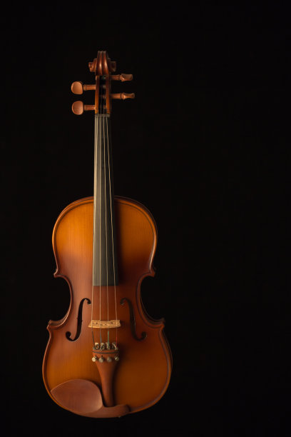 violin