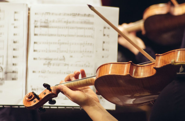 violin