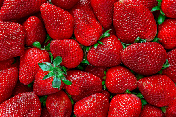 草莓农场