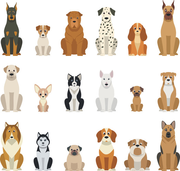 terrier