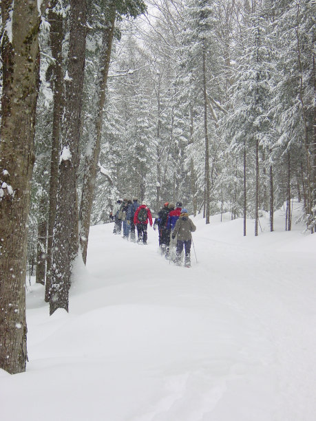 adirondack