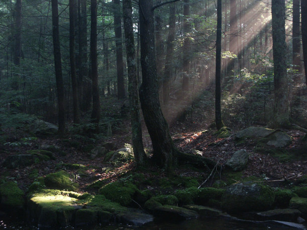 adirondack