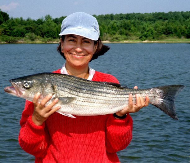 rockfish