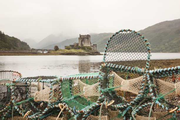 donan