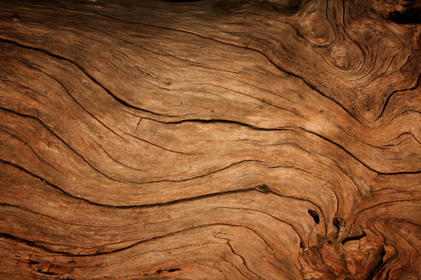 log