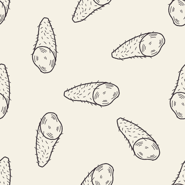 山药插画