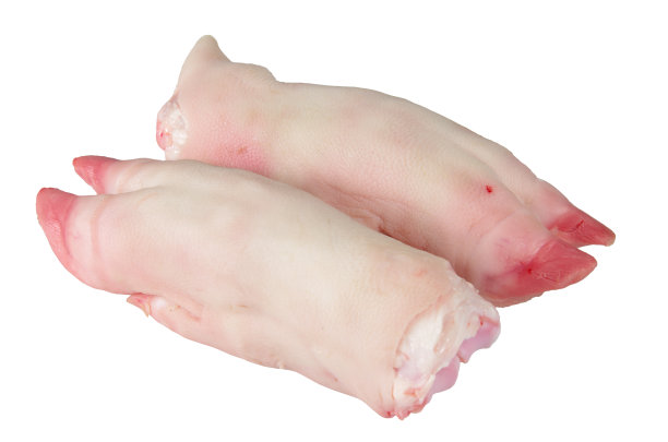 trotter