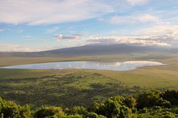 ngorongoro