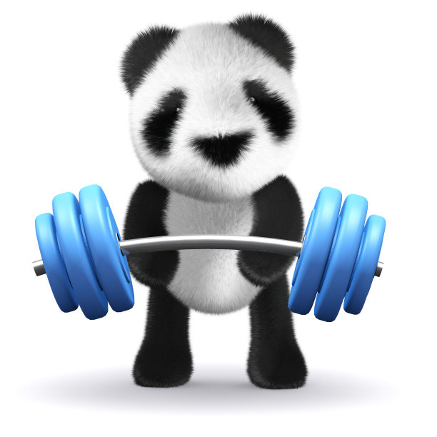 熊猫举重
