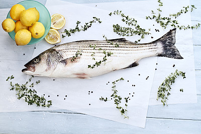 rockfish