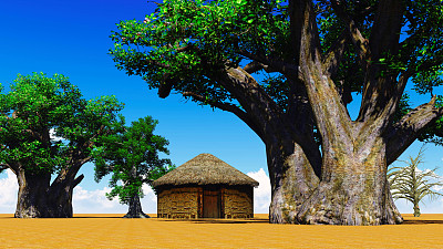 baobab