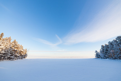 冬季芬兰北部白色的雪原与森林