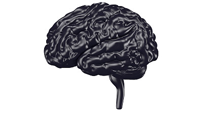 brain