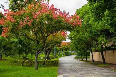 taiwan