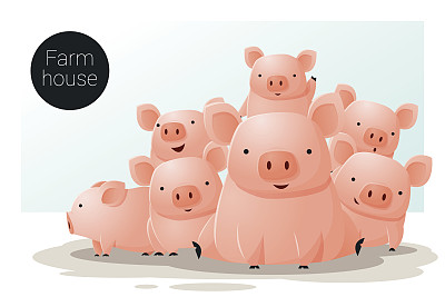 pig