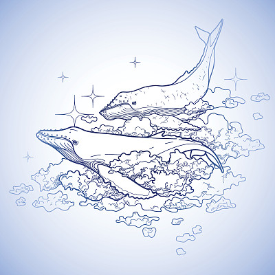 线条鲸鱼