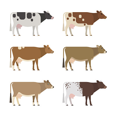 牛肉插画