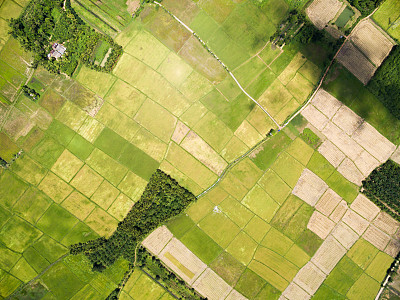field