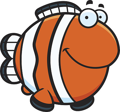 anemonefish