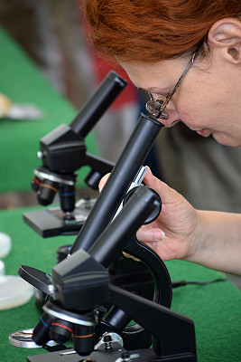 科学家用显微镜观察培养皿