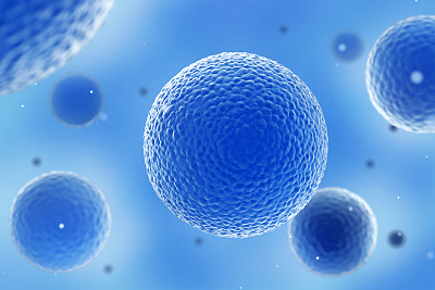cell