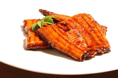 eel