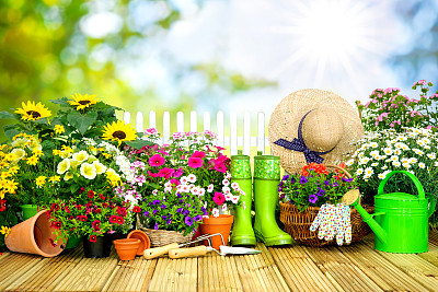 horticulture