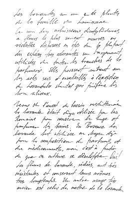 letters
