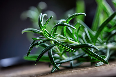 rosemary