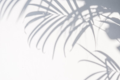 shadow