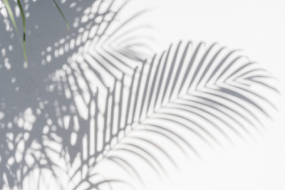 shadow