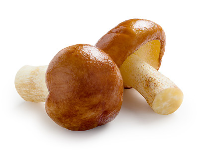 野生菌