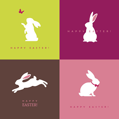 bunny