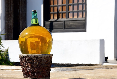葡萄酒,兰萨罗特岛,水平画幅