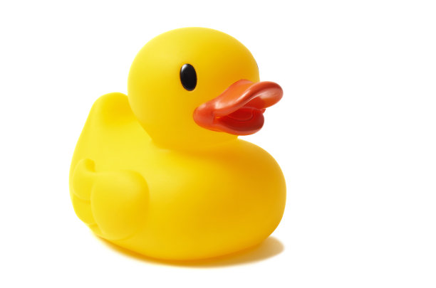 duck