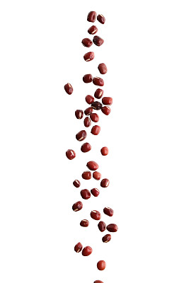 bean