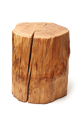 木材剖面